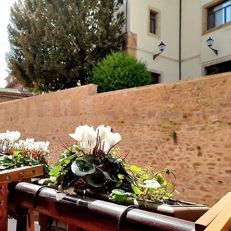 Nuevo-Casco Historico-Parking Gratuito. Apartment Oviedo Ngoại thất bức ảnh